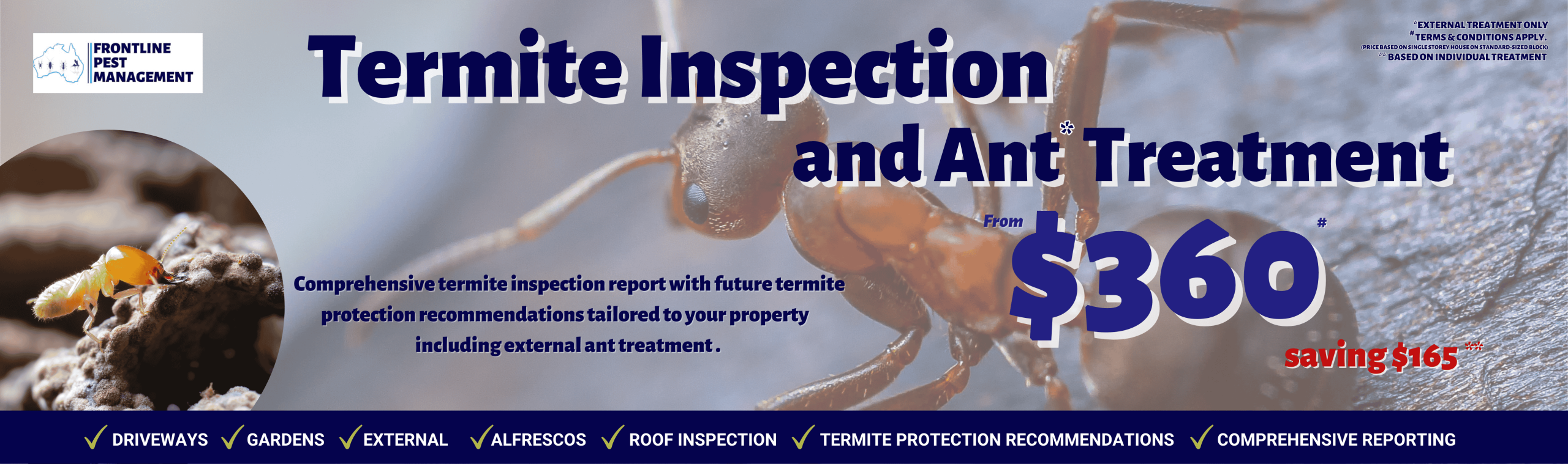 Ant Treatment plus Termite Inspection