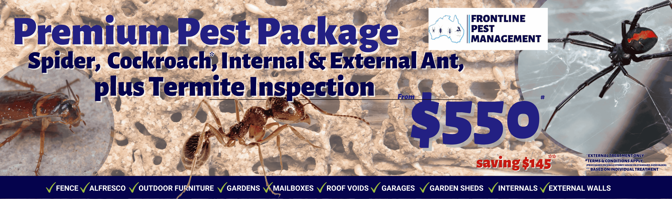 Spider, Internal / External Ant & External Cockroach Treatment plus Termite Inspection